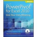 Microsoft PowerPivot for Excel 2010 Book/DVD Package: Give Your Data Meaning