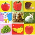 小白兔童書館‧超級拼圖：新鮮蔬菜‧營養水果‧最愛寵物（適合3-6歲）（套裝共3冊）
