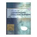 Atlas of Laparoscopic Urologic Surgery with DVD [精裝] (腹腔鏡泌尿外科手術圖譜(附DVD))