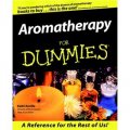 Aromatherapy For Dummies [平裝]