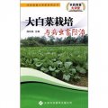 大白菜栽培與病蟲害防治