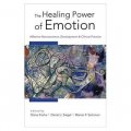 The Healing Power of Emotion: Affective Neuroscience, Development and Clinical Practice [精裝]