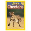 National Geographic Readers: Cheetahs [平裝]