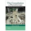The Consultation in Phytotherapy [精裝] (本草療法諮詢:中草藥醫師的治療方法)