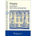Examples & Explanations: Property [平裝]