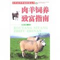 農民經濟養殖致富叢書：肉羊飼養致富指南