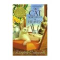 The Cat Who Went to Heaven [平裝] (到過天堂的貓)
