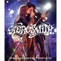 Aerosmith: The Unofficial Illustrated History of Boston s Bad Boys [精裝]