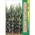 玉米超常早播及高產多收種植模式