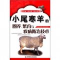 小尾寒羊的圈養繁育與疾病防治技術