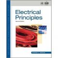 Residential Construction Academy: Electrical Principles [精裝]