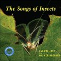 The Songs of Insects [平裝]