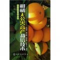 水果栽培技術叢書：柑橘無公害高產栽培技術