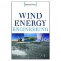 Wind Energy Engineering [精裝]