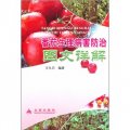 番茄生理病害防治圖文詳解