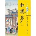 中華大字經典：紅樓夢（1-4）（套裝共4冊）