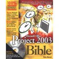 Microsoft Office Project 2003 Bible