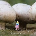 Microworlds [平裝] (微型世界)
