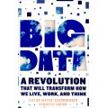 Big Data: A Revolution That Will Transform How We Live, Work, and Think [精裝] (大數據時代)