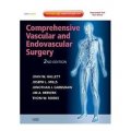 Comprehensive Vascular and Endovascular Surgery [精裝] (血管與血管腔外科,第2版)Comprehensive Vascular and Endovascular Surgery [精裝] (血管與血管腔外科,第2版)