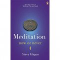 Meditation Now or Never [平裝]