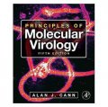 Principles of Molecular Virology [平裝] (分子病毒學原理，第5版)