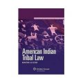 American Indian Tribal Law (Aspen Elective Series) [平裝] (美洲印第安人種族法解讀)