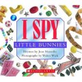 I Spy: Little Bunnies [精裝] (視覺大發現系列：小兔子)