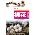 棉花科學栽培