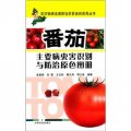 番茄主要病蟲害識別與防治原色圖冊
