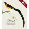 Birds: Mini Archive with DVD [平裝] (鳥兒)