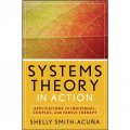 Systems Theory in Action: Applications to Individual, Couple, and Family Therapy [平裝] (運用中的系統理論：個人、夫婦和家庭治療應用)