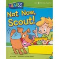 Not Now， Scout!， Unit 8， Book 6