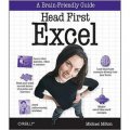 Head First Excel: A learner s guide to spreadsheets [平裝]