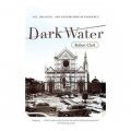 Dark Water: Art, Disaster, and Redemption in Florence [平裝]