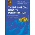 The Primordial Density Perturbation [精裝] (原始密度擾動)