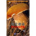 常見蘑菇野外識別手冊
