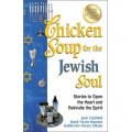 Chicken Soup for the Jewish Soul: Stories to Open the Heart and Rekindle the Spirit [平裝]