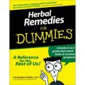 Herbal Remedies For Dummies [平裝]