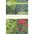 Euphorbias [平裝]