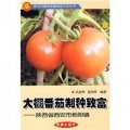 大棚番茄制種致富—陝西省西安市櫟陽鎮