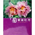 中國紫斑牡丹