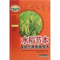 水稻節本高效實用栽培技術