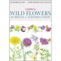 Wild Flowers of Britain/Northern Europe [精裝]