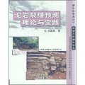 泥岩裂縫預測理論與實踐/新世紀學術叢書‧地球與環境科學類