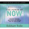 Practicing the Power of Now [Audio CD] [平裝]
