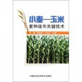 小麥、玉米複種連作關鍵技術