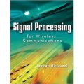 Signal Processing for Wireless Communications [精裝]