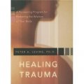 Healing Trauma W/Cd [平裝]