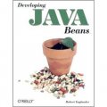 Developing Java Beans (Java (Addison-Wesley)) [平裝]